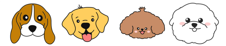 狗狗一直甩耳朵是怎么回事？它在向你求救！