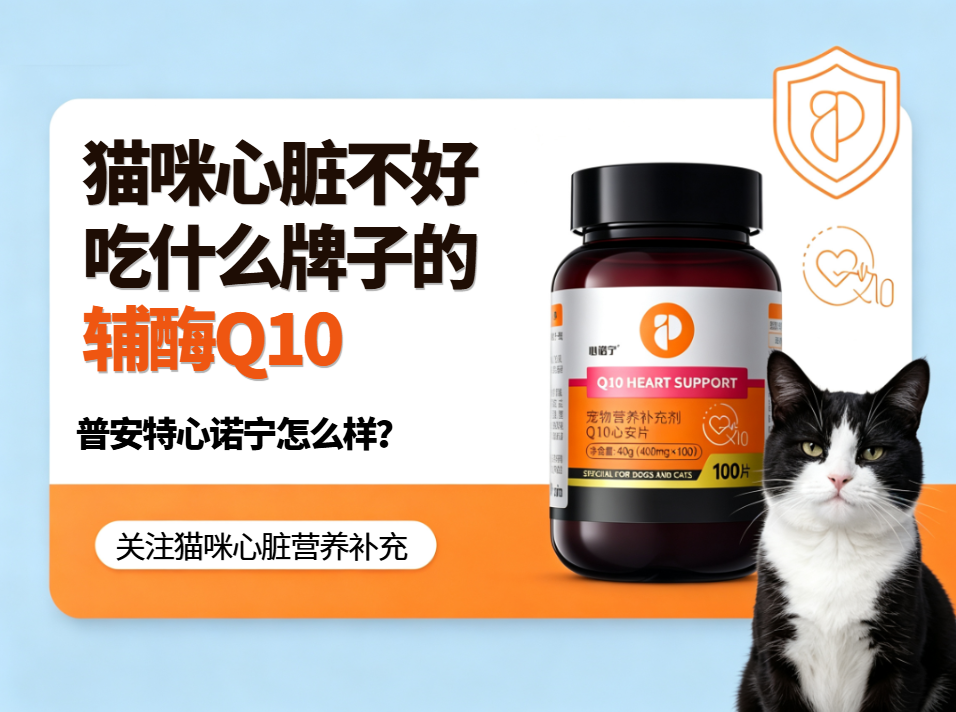 猫咪心脏不好吃什么牌子的辅酶Q10?普安特心诺宁怎么样?