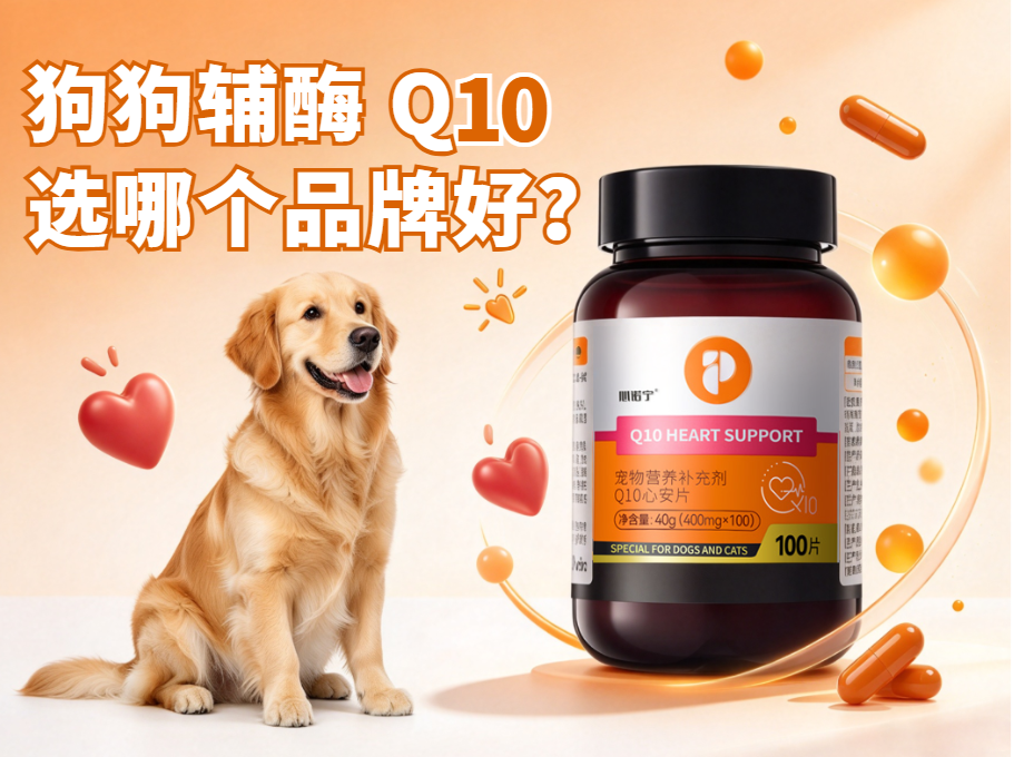老年犬护心必备营养：辅酶Q10选哪个品牌好？