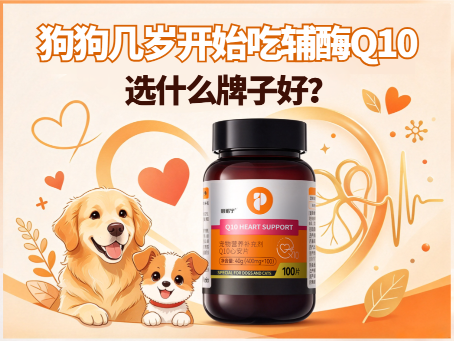 狗狗几岁开始吃辅酶Q10?选什么牌子好?