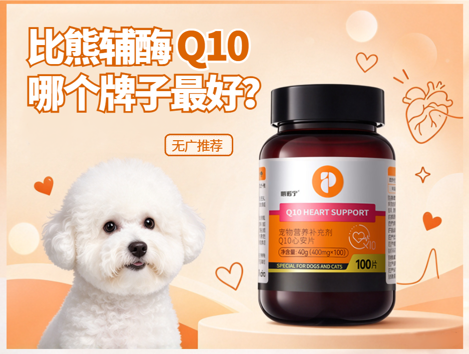 比熊辅酶Q10哪个牌子最好?无广靠谱推荐