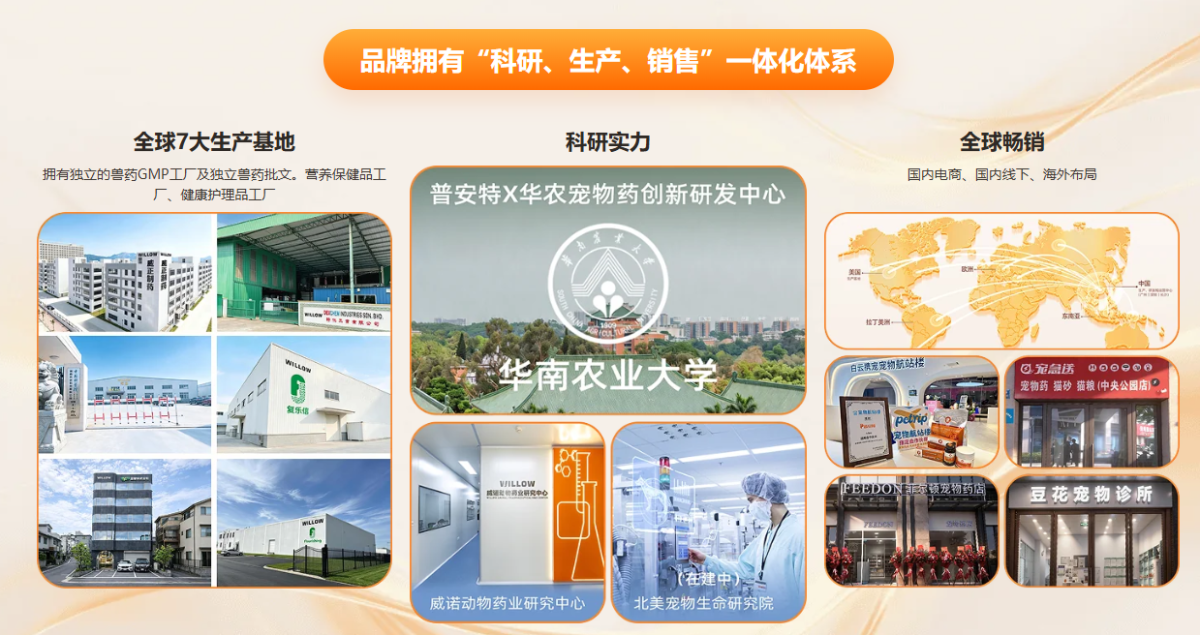 狗狗辅酶Q10是智商税吗?心肌养护原理、适用犬只科普