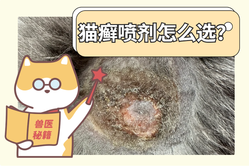 猫癣喷剂怎么选?普安特皮普特真的有用吗?