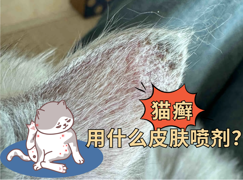 猫咪耳朵长癣掉毛怎么办?皮肤喷剂选哪个牌子安全有效?
