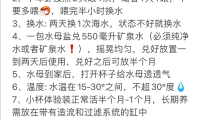 水母摆摊日入500哪些要注意点？保姆级。成本7-8块，卖20-35之间
