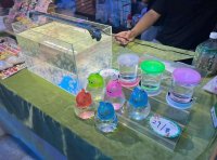 夜市水母创业该如何做？