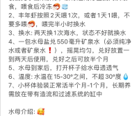 水母摆摊日入500哪些要注意点？保姆级。成本7-8块，卖20-35之间