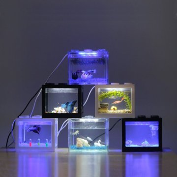 赤月倒立海月水母活物体验缸小型桌面宿舍好养水生宠物观赏小水母