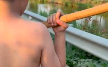 三只小狗掉进了路边河里，小孩哥第一时间拿网兜来捞