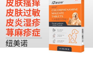 马来酸氯苯那敏片（普安特）