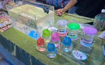 夜市水母创业该如何做？