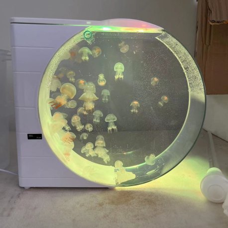 二代水母缸水母专业循环缸灯光展示缸水族养殖缸水族生态鱼缸生日