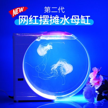 摆摊水母缸桌面缸10L展示缸水族生态鱼缸赤月海月活体地摊养殖缸