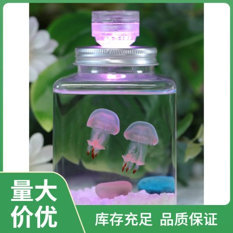 水母活物缸家养好养儿童学生桌面小动物宠物迷你懒人水族箱赤月