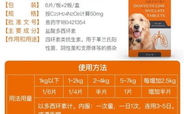 3个月的狗狗呼吸道感染咳嗽流涕已治愈