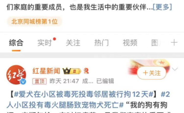 爱犬小区内遭投毒死亡，邻居被刑拘12天