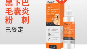 巴妥定（普安特）