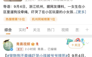 宠物狗未牵绳吓哭小孩，爷爷愤怒摔死狗引热议