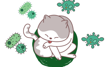 猫癣是什么病菌引起的？怎么治疗？