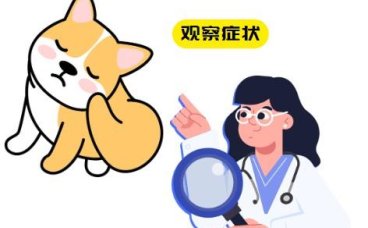 爱犬皮肤突现结痂疙瘩，一文教你如何快速应对！