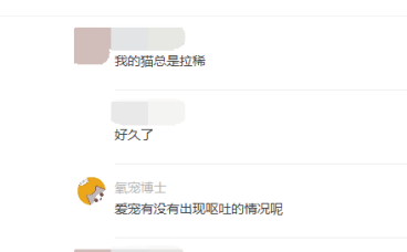 5个月大的缅因猫肠胃炎拉稀已治愈