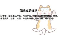 猫疱疹病毒症状及治疗方法有哪些？