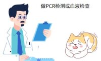 幼猫患上猫鼻支用什么药最有效？