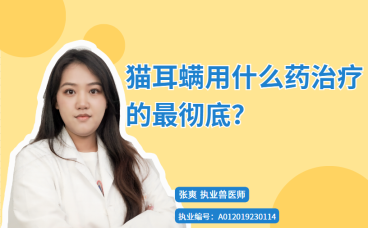 【宠医科普】猫耳螨用什么药治疗的最彻底？