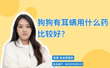 【宠医科普】狗狗有耳螨用什么药比较好？