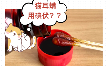 猫咪耳螨用碘伏很有效？假的~重点是驱虫！