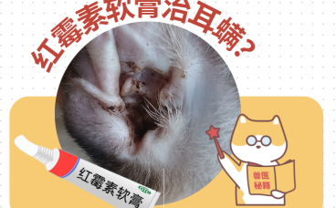 用红霉素软膏治疗狗狗耳螨？打住，红霉素不是万能的！