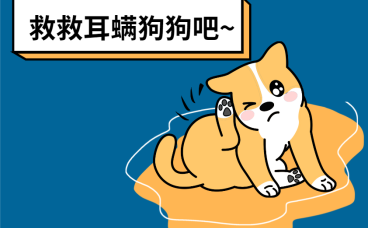 狗狗耳螨用什么药能最快解决？居家省钱版