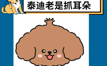 【氧宠科普】泰迪耳朵痒老是抓和摇头用什么药？