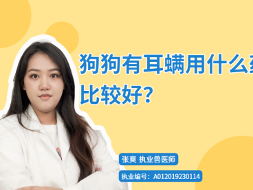 【宠医科普】狗狗有耳螨用什么药比较好？
