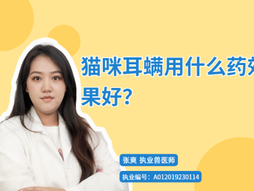 【宠医秘籍】猫咪耳螨用什么药效果好？