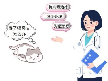 治疗猫鼻支只吃泛昔洛韦效果如何？