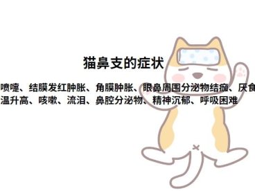 猫疱疹病毒症状及治疗方法有哪些？