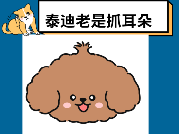 【氧宠科普】泰迪耳朵痒老是抓和摇头用什么药？