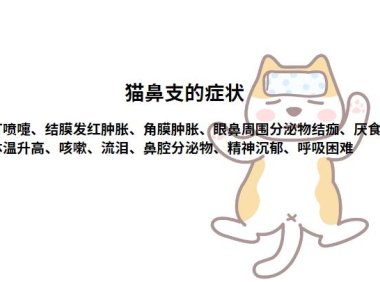 猫疱疹病毒症状及治疗方法有哪些？