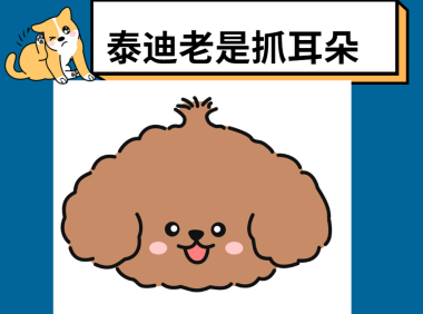 【氧宠科普】泰迪耳朵痒老是抓和摇头用什么药？