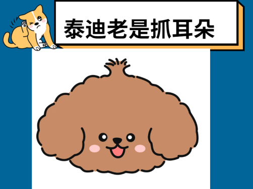 【氧宠科普】泰迪耳朵痒老是抓和摇头用什么药？