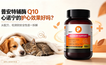 普安特辅酶Q10心诺宁的护心效果好吗?